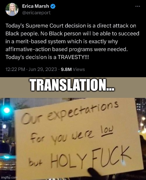 TRANSLATION… | image tagged in low expectations | made w/ Imgflip meme maker