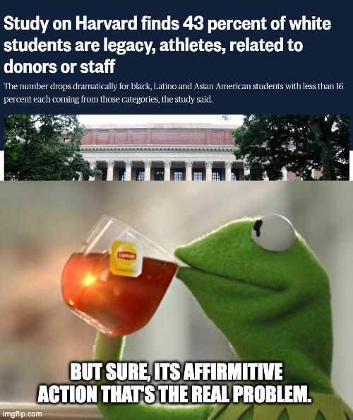 BUT SURE, ITS AFFIRMITIVE ACTION THAT'S THE REAL PROBLEM. | image tagged in memes,but that's none of my business,nepotism,white privilege,affirmative action,racism | made w/ Imgflip meme maker
