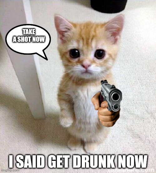 Cute Cat Meme | TAKE A SHOT NOW; I SAID GET DRUNK NOW | image tagged in memes,cute cat | made w/ Imgflip meme maker