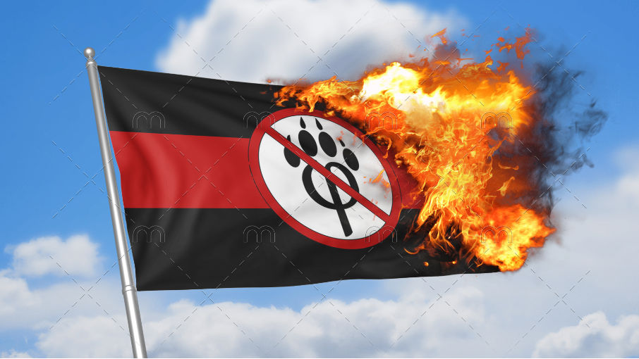 High Quality Burning anti furry flag Blank Meme Template