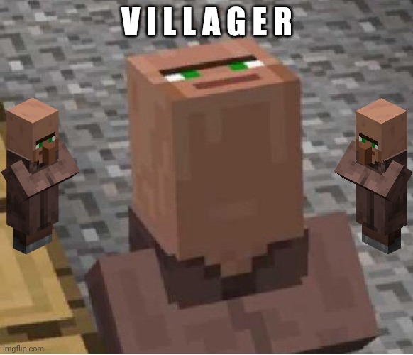 VILLAGER | V I L L A G E R | image tagged in minecraft villager looking up | made w/ Imgflip meme maker