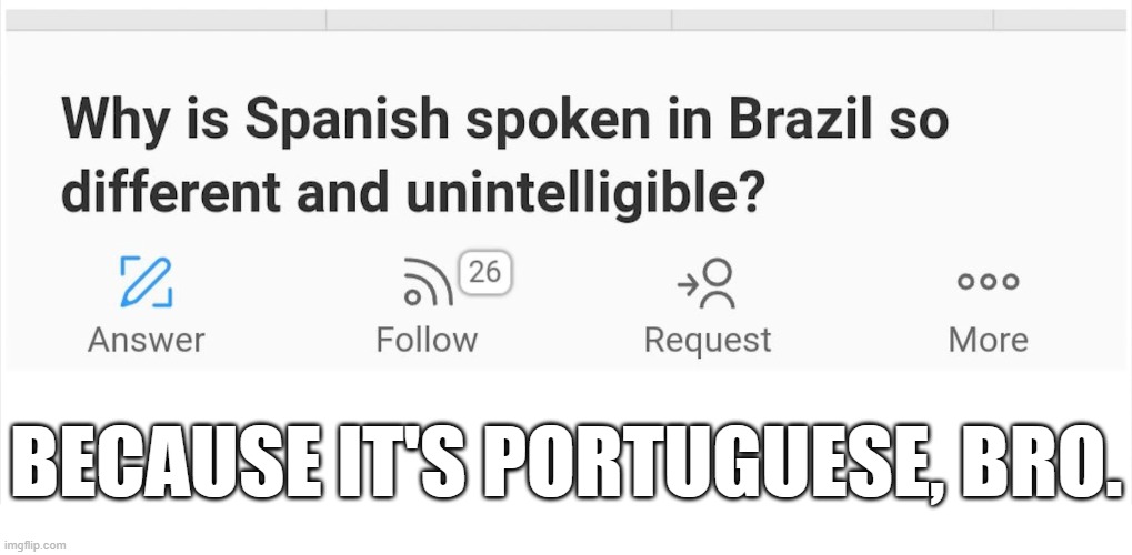 BECAUSE IT'S PORTUGUESE, BRO. | image tagged in brazil,spanish,portuguese | made w/ Imgflip meme maker