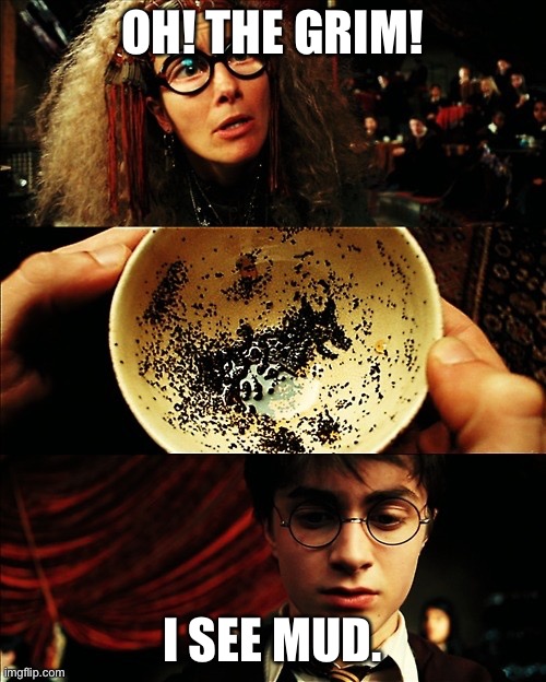 harry potter | OH! THE GRIM! I SEE MUD. | image tagged in harry potter | made w/ Imgflip meme maker