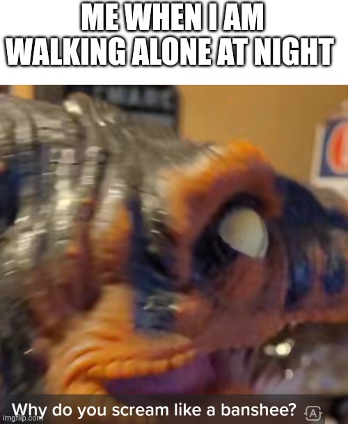 Why do you scream like a banshee? | ME WHEN I AM WALKING ALONE AT NIGHT | image tagged in why do you scream like a banshee | made w/ Imgflip meme maker