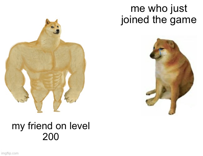 Buff Doge vs. Cheems | me who just joined the game; my friend on level
200 | image tagged in memes,buff doge vs cheems | made w/ Imgflip meme maker