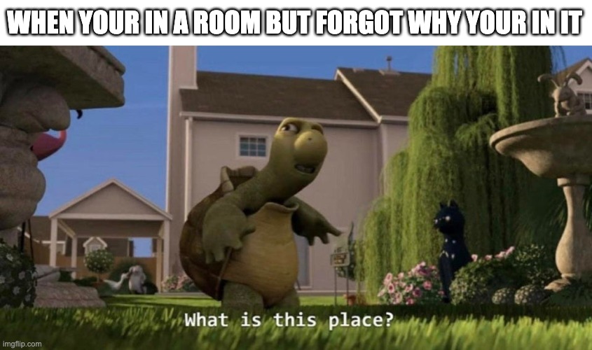 so annoying | WHEN YOUR IN A ROOM BUT FORGOT WHY YOUR IN IT | image tagged in what is this place | made w/ Imgflip meme maker