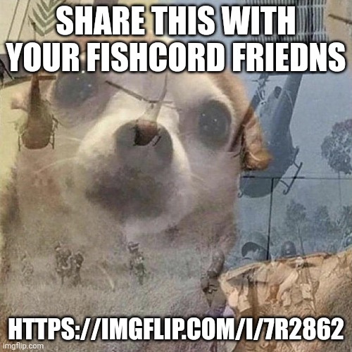 Dog PTSD | SHARE THIS WITH YOUR FISHCORD FRIEDNS; HTTPS://IMGFLIP.COM/I/7R2862 | image tagged in dog ptsd | made w/ Imgflip meme maker