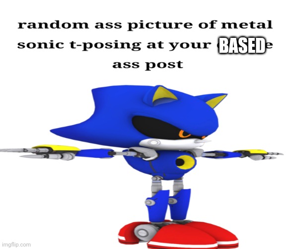 Metal sonic t-pose | BASED | image tagged in metal sonic t-pose | made w/ Imgflip meme maker