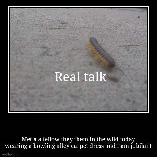 Real talk | Met a a fellow they them in the wild today wearing a bowling alley carpet dress and I am jubilant | image tagged in funny,lgbtq,bugs | made w/ Imgflip demotivational maker