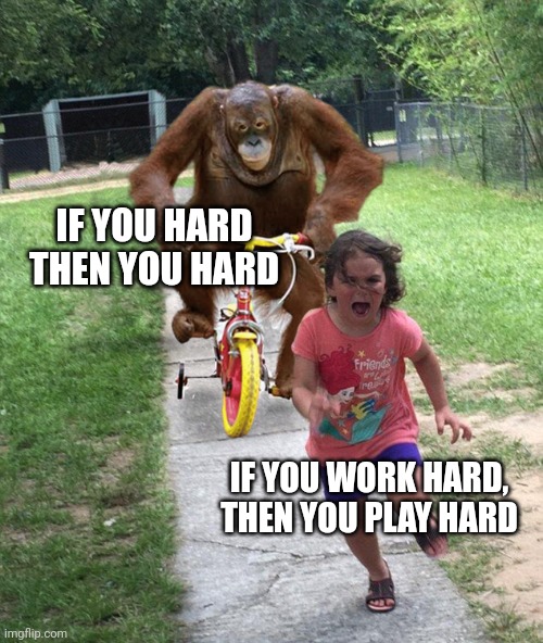 Orangutan chasing girl on a tricycle | IF YOU HARD THEN YOU HARD IF YOU WORK HARD, THEN YOU PLAY HARD | image tagged in orangutan chasing girl on a tricycle | made w/ Imgflip meme maker