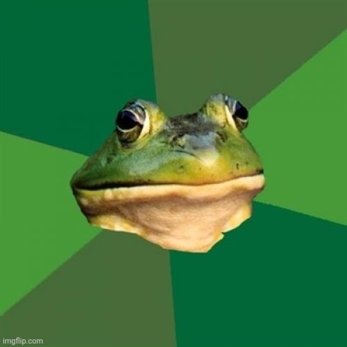 Foul Bachelor Frog Meme | image tagged in memes,foul bachelor frog | made w/ Imgflip meme maker