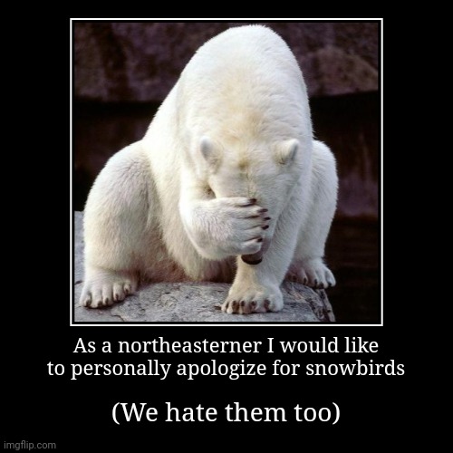 As a northeasterner I would like to personally apologize for snowbirds | (We hate them too) | image tagged in funny,demotivationals | made w/ Imgflip demotivational maker