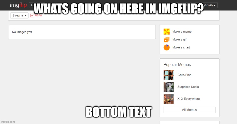 WHATS GOING ON HERE IN IMGFLIP? BOTTOM TEXT | image tagged in memes | made w/ Imgflip meme maker