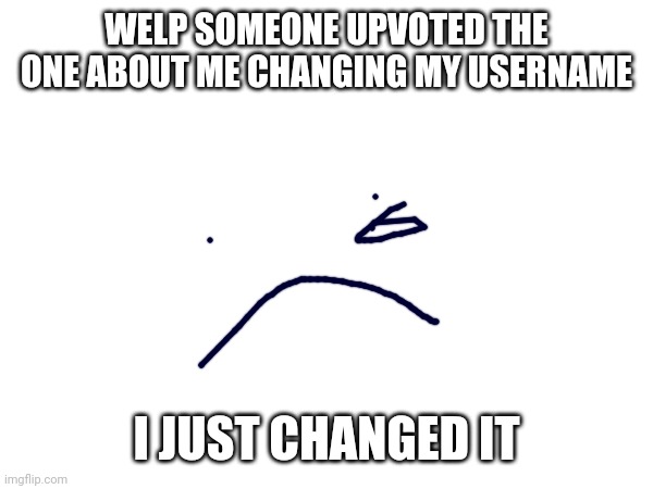 WELP SOMEONE UPVOTED THE ONE ABOUT ME CHANGING MY USERNAME; I JUST CHANGED IT | made w/ Imgflip meme maker