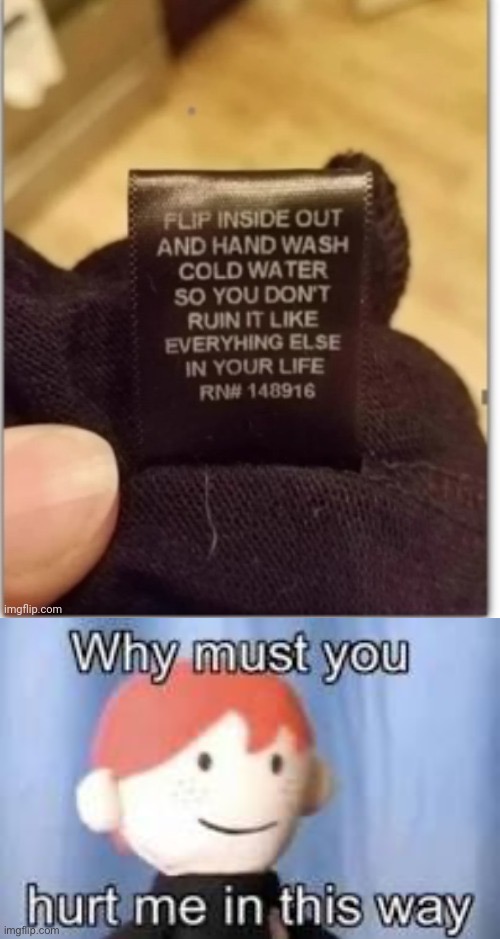 Ruined life | image tagged in why must you hurt me in this way,ruin,life,washing,directions | made w/ Imgflip meme maker