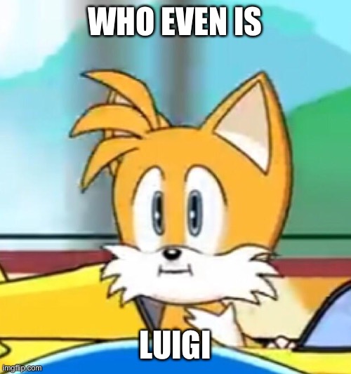 (normalcore note: idfk how to really explain) | WHO EVEN IS; LUIGI | image tagged in tails hold up | made w/ Imgflip meme maker