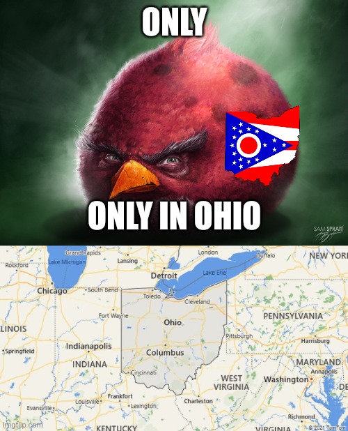 ONLY ONLY IN OHIO | image tagged in angry bird 7,only in ohio | made w/ Imgflip meme maker