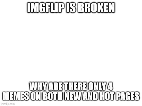 Imgflip, please get yourself together | IMGFLIP IS BROKEN; WHY ARE THERE ONLY 4 MEMES ON BOTH NEW AND HOT PAGES | image tagged in why | made w/ Imgflip meme maker