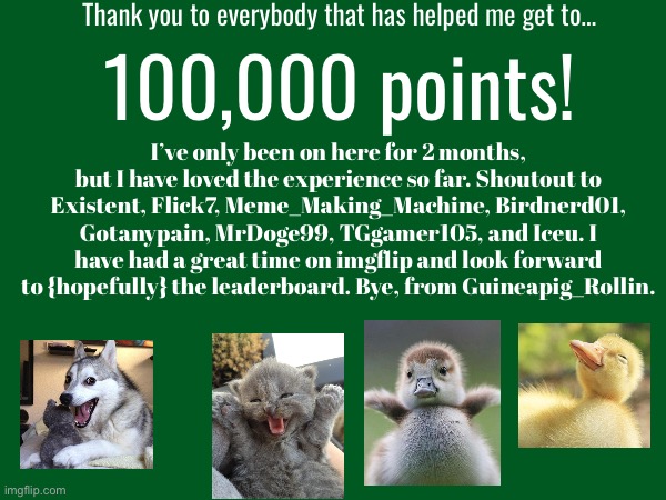 Thanks for 100,000 points! I really appreciate it | Thank you to everybody that has helped me get to…; 100,000 points! I’ve only been on here for 2 months, but I have loved the experience so far. Shoutout to Existent, Flick7, Meme_Making_Machine, Birdnerd01, Gotanypain, MrDoge99, TGgamer105, and Iceu. I have had a great time on imgflip and look forward to {hopefully} the leaderboard. Bye, from Guineapig_Rollin. | image tagged in cute animals,shoutout,yay,points | made w/ Imgflip meme maker