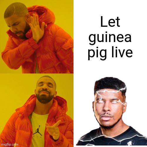 Drake Hotline Bling Meme | Let guinea pig live | image tagged in memes,drake hotline bling | made w/ Imgflip meme maker