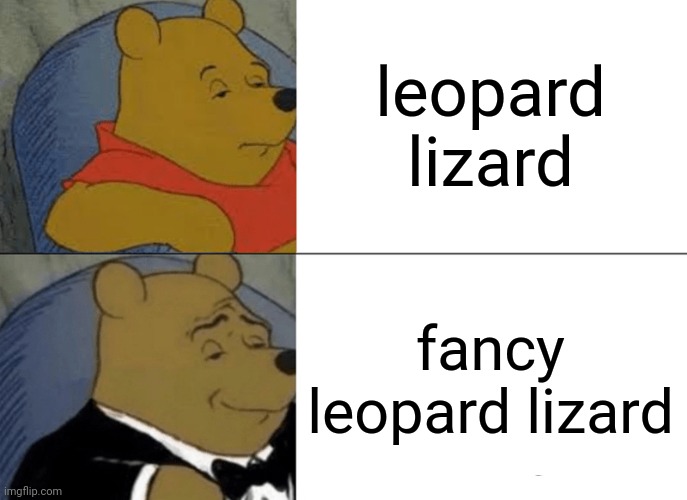 Tuxedo Winnie The Pooh Meme | leopard lizard; fancy leopard lizard | image tagged in memes,tuxedo winnie the pooh | made w/ Imgflip meme maker