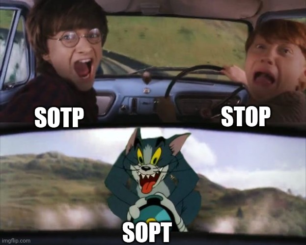 Tom chasing Harry and Ron Weasly | SOTP STOP SOPT | image tagged in tom chasing harry and ron weasly | made w/ Imgflip meme maker