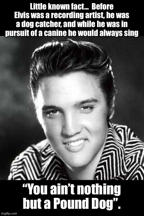 Thank you...  Thank you very much. | image tagged in elvis presley | made w/ Imgflip meme maker