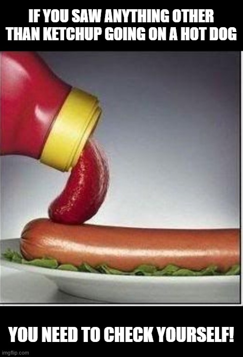 Dirty Mind Check | IF YOU SAW ANYTHING OTHER THAN KETCHUP GOING ON A HOT DOG; YOU NEED TO CHECK YOURSELF! | image tagged in sex jokes | made w/ Imgflip meme maker