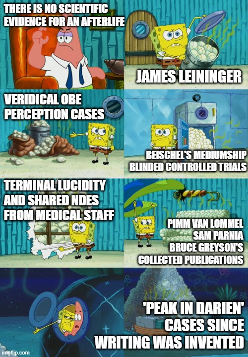 spongebob pointing out obvious to patrick | THERE IS NO SCIENTIFIC EVIDENCE FOR AN AFTERLIFE; JAMES LEININGER; VERIDICAL OBE
PERCEPTION CASES; TERMINAL LUCIDITY AND SHARED NDES FROM MEDICAL STAFF; BEISCHEL'S MEDIUMSHIP BLINDED CONTROLLED TRIALS; PIMM VAN LOMMEL
SAM PARNIA
BRUCE GREYSON'S
COLLECTED PUBLICATIONS; 'PEAK IN DARIEN'
CASES SINCE WRITING WAS INVENTED | image tagged in spongebob pointing out obvious to patrick | made w/ Imgflip meme maker