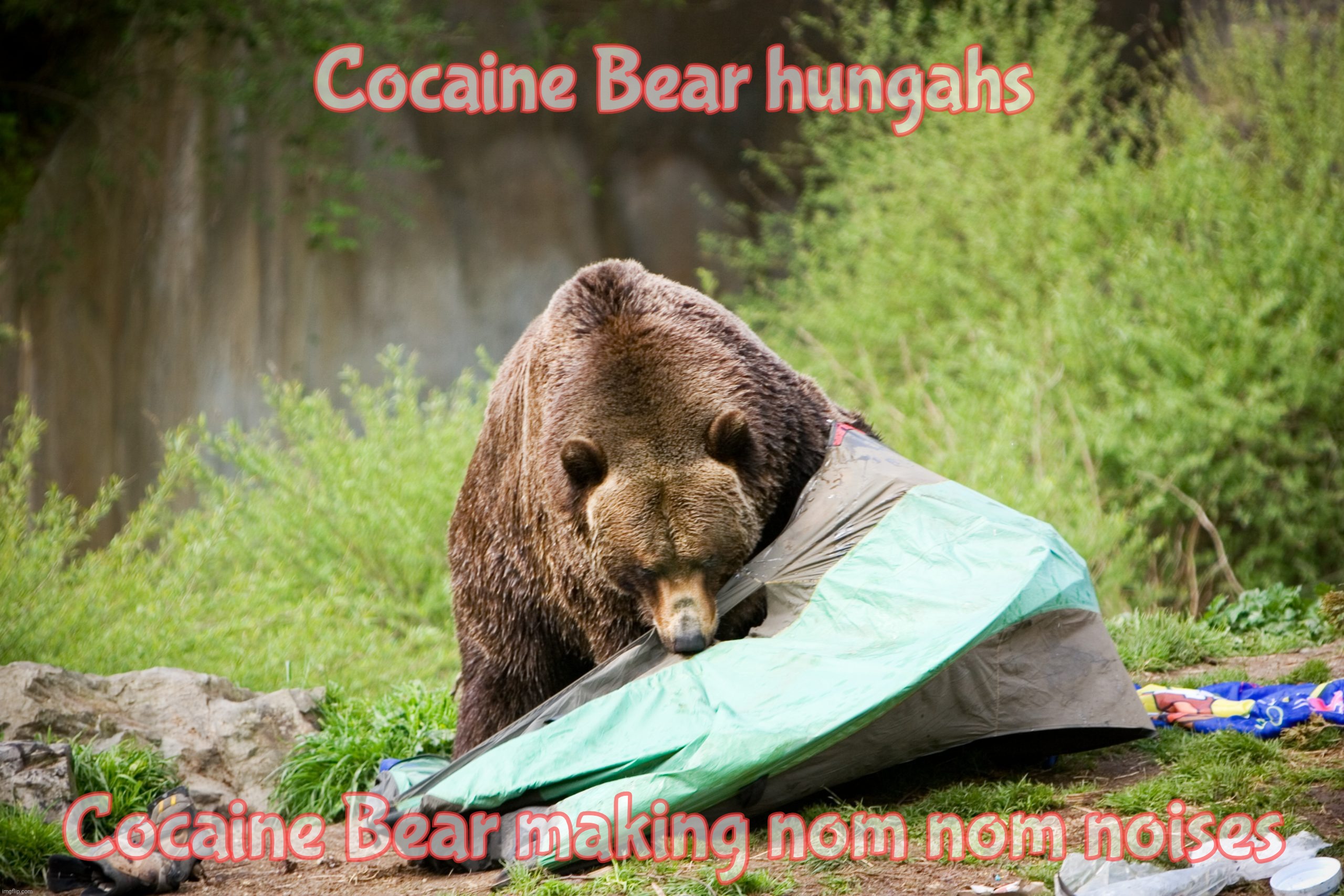 Cocaine Bear hungahs Cocaine Bear making nom nom noises | made w/ Imgflip meme maker