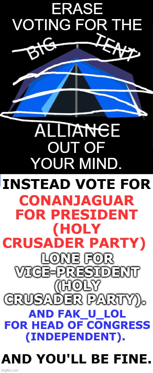Vote Carefully | ERASE VOTING FOR THE; OUT OF YOUR MIND. CONANJAGUAR FOR PRESIDENT (HOLY CRUSADER PARTY); INSTEAD VOTE FOR; LONE FOR VICE-PRESIDENT (HOLY CRUSADER PARTY). AND FAK_U_LOL FOR HEAD OF CONGRESS (INDEPENDENT). AND YOU'LL BE FINE. | image tagged in big tent alliance party logo,memes,imgflip,presidents,election | made w/ Imgflip meme maker