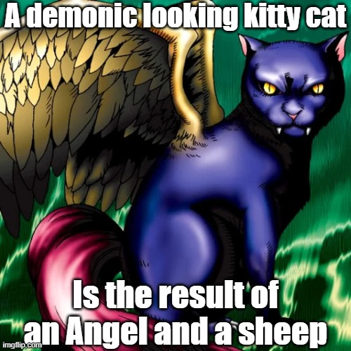 Misleading monster 10 | A demonic looking kitty cat; Is the result of an Angel and a sheep | image tagged in yugioh | made w/ Imgflip meme maker
