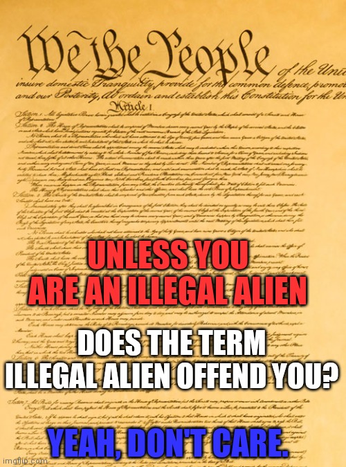 This Piece Of Paper Covers All Americans and Naturalized Americans | UNLESS YOU ARE AN ILLEGAL ALIEN; DOES THE TERM ILLEGAL ALIEN OFFEND YOU? YEAH, DON'T CARE. | image tagged in constitution,learn your history | made w/ Imgflip meme maker