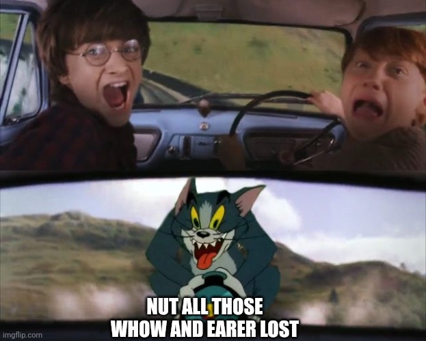 Tom chasing Harry and Ron Weasly | NUT ALL THOSE WHOW AND EARER LOST | image tagged in tom chasing harry and ron weasly | made w/ Imgflip meme maker