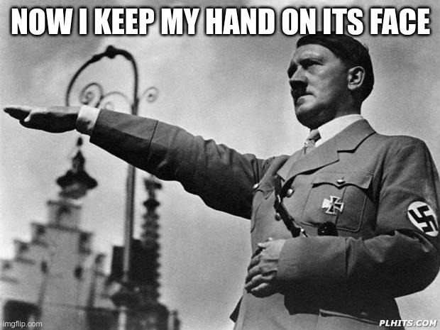 hitler | NOW I KEEP MY HAND ON ITS FACE | image tagged in hitler | made w/ Imgflip meme maker