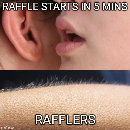 Dont miss the raffle!!! | RAFFLE STARTS IN 5 MINS; RAFFLERS | image tagged in whisper and goosebumps,cryptocurrency,discord | made w/ Imgflip meme maker