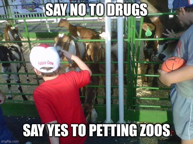Petting zoo lesson | SAY NO TO DRUGS; SAY YES TO PETTING ZOOS | image tagged in petting zoos | made w/ Imgflip meme maker