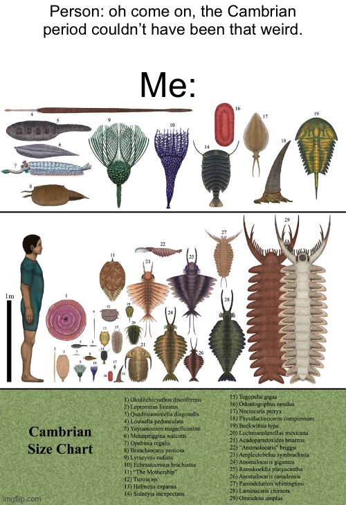The Cambrian period is the Ohio of Paleozoic eras | Me:; Person: oh come on, the Cambrian period couldn’t have been that weird. | image tagged in bruh,ohio | made w/ Imgflip meme maker