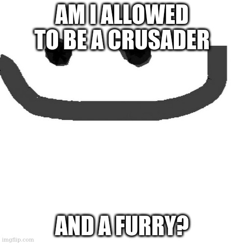 crusading has begun if so | AM I ALLOWED TO BE A CRUSADER; AND A FURRY? | image tagged in hmm jpg | made w/ Imgflip meme maker