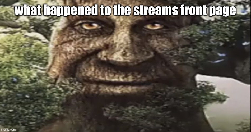 Wise mystical tree | what happened to the streams front page | image tagged in wise mystical tree | made w/ Imgflip meme maker