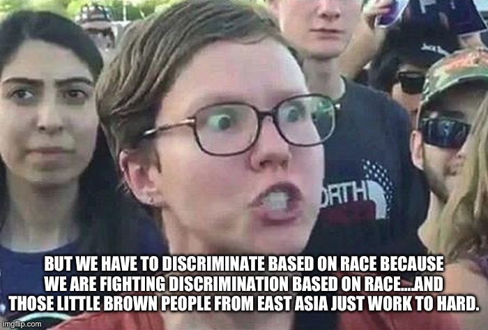 Triggered Liberal | BUT WE HAVE TO DISCRIMINATE BASED ON RACE BECAUSE WE ARE FIGHTING DISCRIMINATION BASED ON RACE….AND THOSE LITTLE BROWN PEOPLE FROM EAST ASIA | image tagged in triggered liberal | made w/ Imgflip meme maker