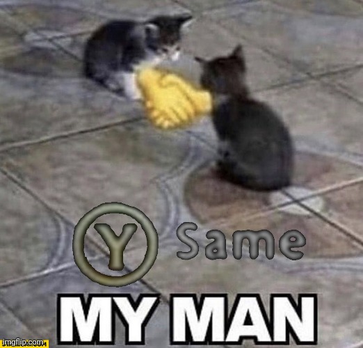 Cats shaking hands | image tagged in cats shaking hands | made w/ Imgflip meme maker