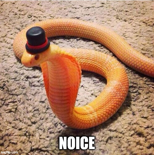 Dapper Snek | NOICE | image tagged in dapper snek | made w/ Imgflip meme maker