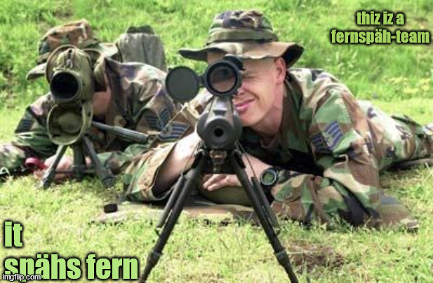 It's a fernspäh(scout)-team | thiz iz a fernspäh-team; it spähs fern | image tagged in united states air force sniper team | made w/ Imgflip meme maker