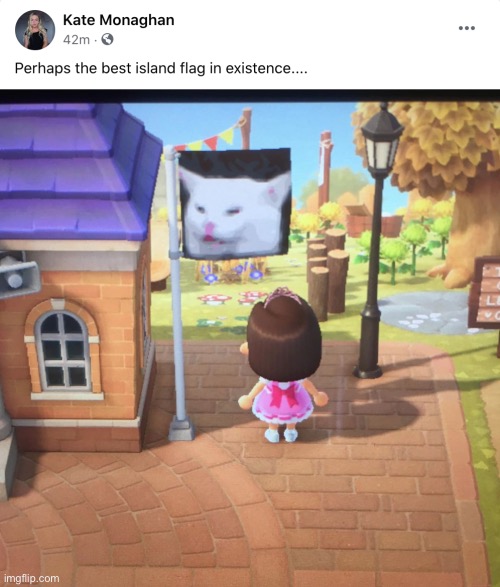 Insert clever title | image tagged in animal crossing | made w/ Imgflip meme maker