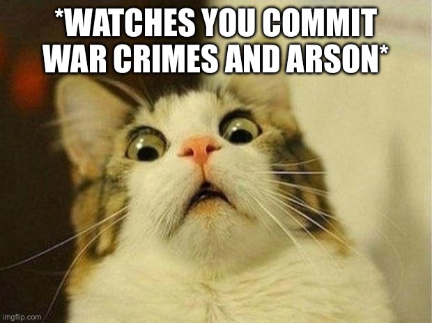 Scared Cat | *WATCHES YOU COMMIT WAR CRIMES AND ARSON* | image tagged in memes,scared cat | made w/ Imgflip meme maker