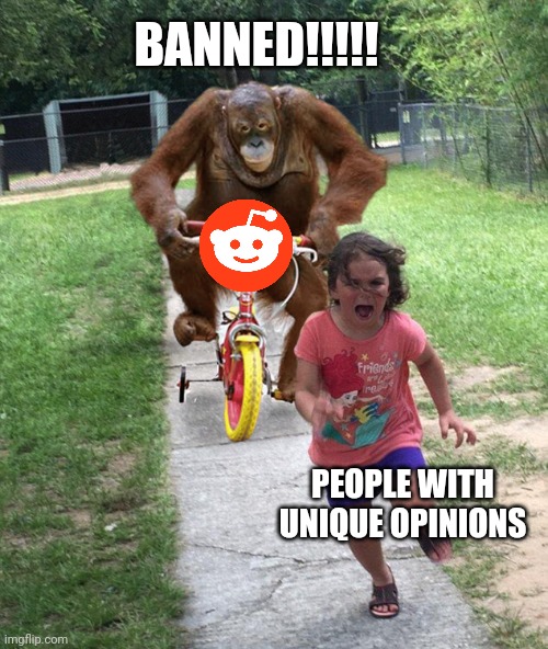 Orangutan chasing girl on a tricycle | BANNED!!!!! PEOPLE WITH UNIQUE OPINIONS | image tagged in orangutan chasing girl on a tricycle | made w/ Imgflip meme maker