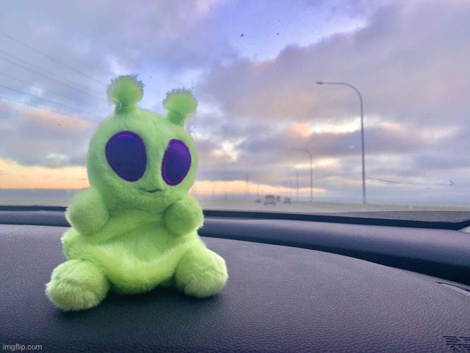 gnarp gnarp plush | image tagged in gnarp gnarp plush | made w/ Imgflip meme maker