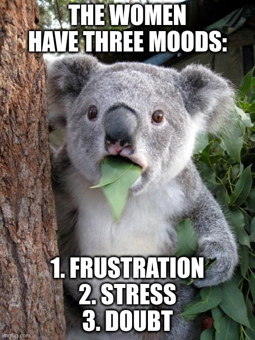 Doubt | THE WOMEN HAVE THREE MOODS:; 1. FRUSTRATION
2. STRESS
3. DOUBT | image tagged in memes,surprised koala | made w/ Imgflip meme maker