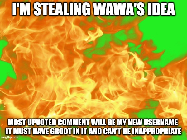 New name | I'M STEALING WAWA'S IDEA; MOST UPVOTED COMMENT WILL BE MY NEW USERNAME 
IT MUST HAVE GROOT IN IT AND CAN'T BE INAPPROPRIATE | image tagged in new name | made w/ Imgflip meme maker
